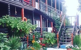 Black Black House Фото